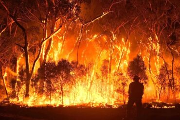 1978 Dwellingup Fire Story