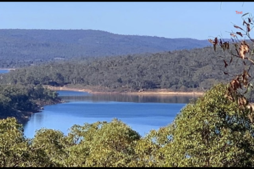 A Critique of the ‘Response Only’ Bushfire Strategy for Southwest WA